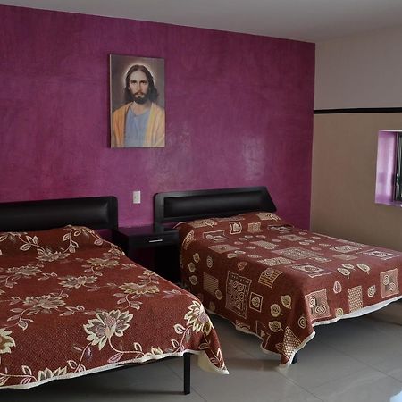 Hotel Colon Сан Хуан де лос Лагос Екстериор снимка